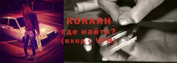 гидра Заводоуковск