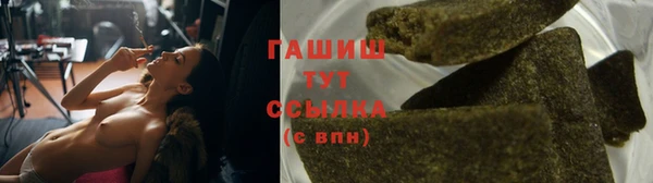 гидра Заводоуковск