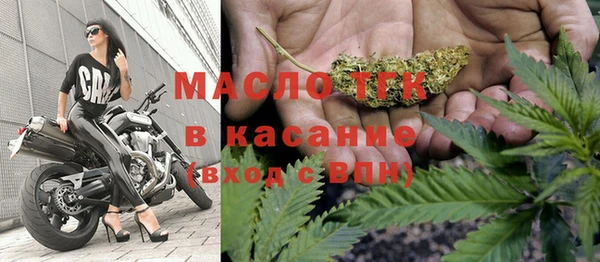 гидра Заводоуковск