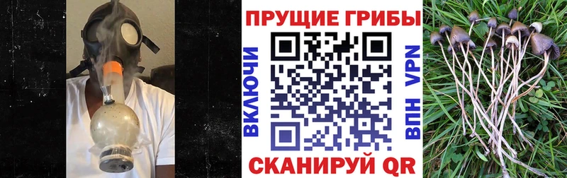 Галлюциногенные грибы Magic Shrooms  Касли 
