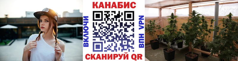 kraken   цена наркотик  Касли  Бошки Шишки семена 